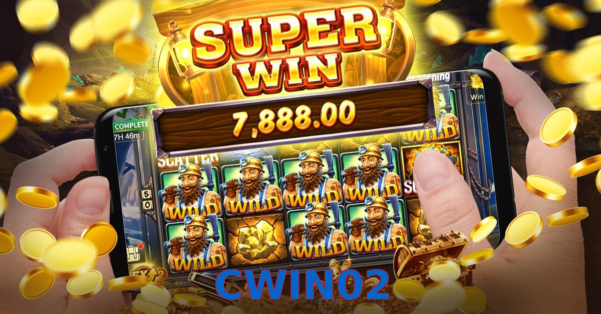 CWIN02