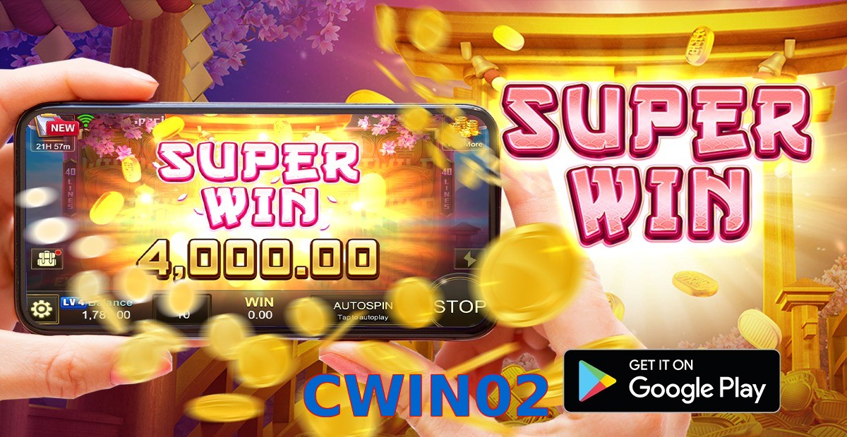 CWIN02