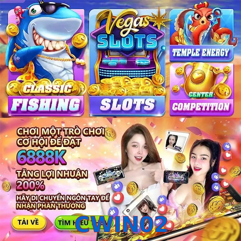 CWIN02