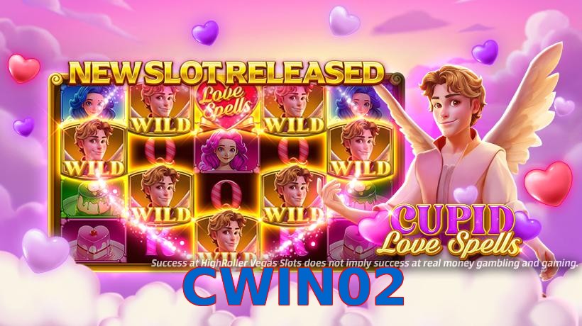 CWIN02