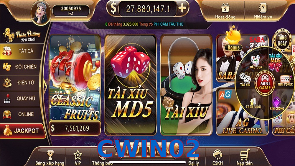 CWIN02