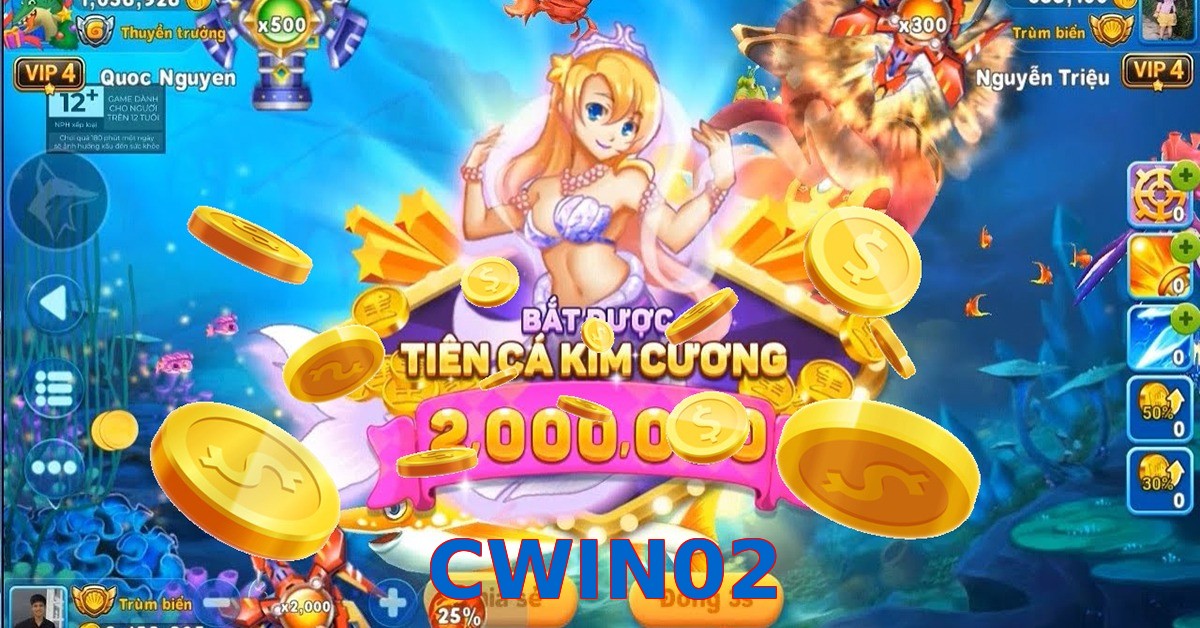 CWIN02