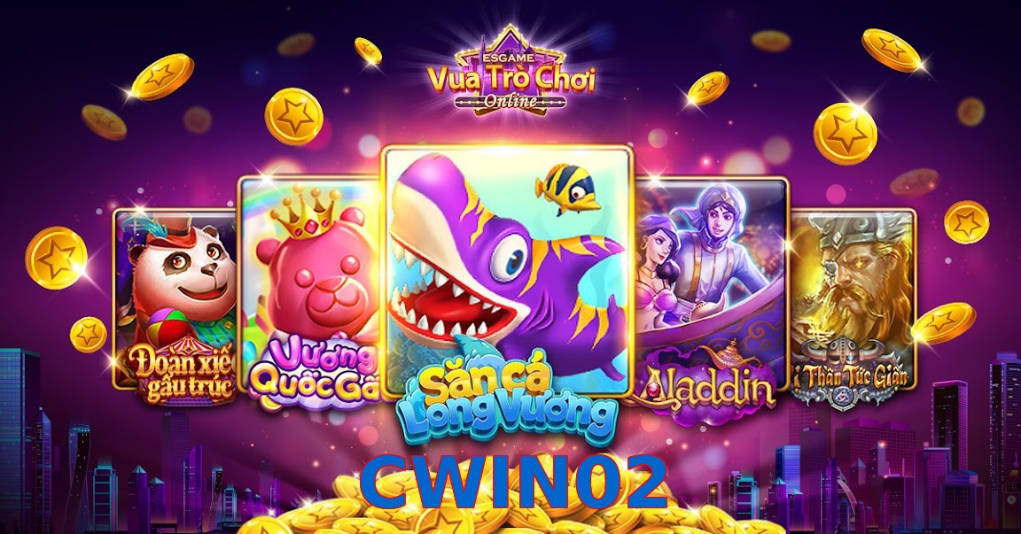 CWIN02