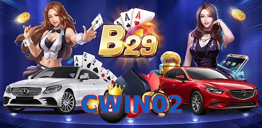 CWIN02