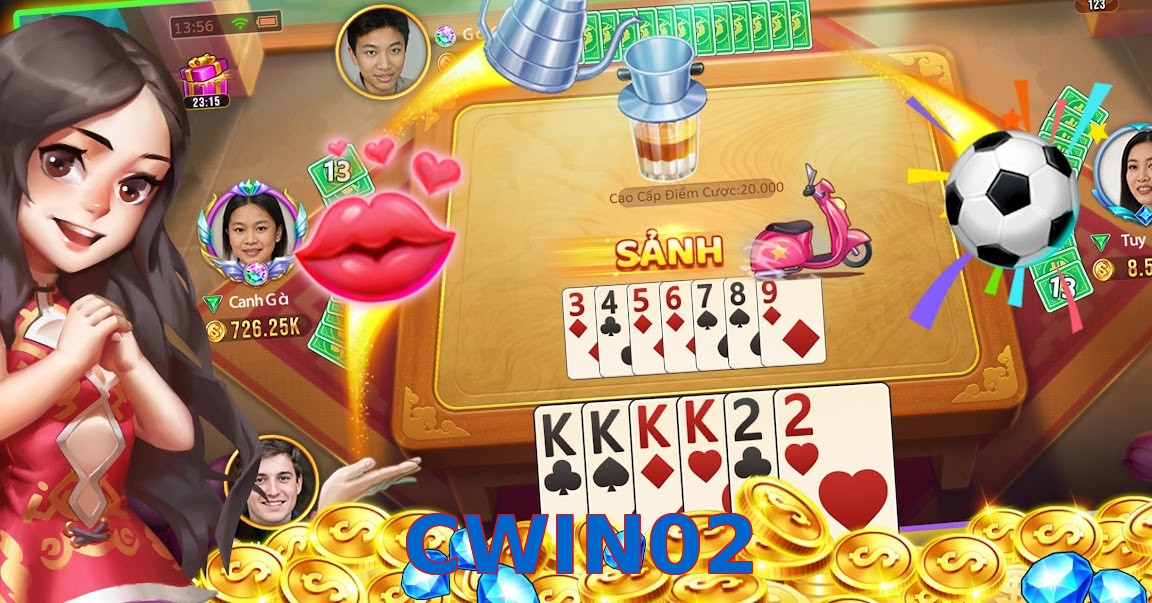 CWIN02