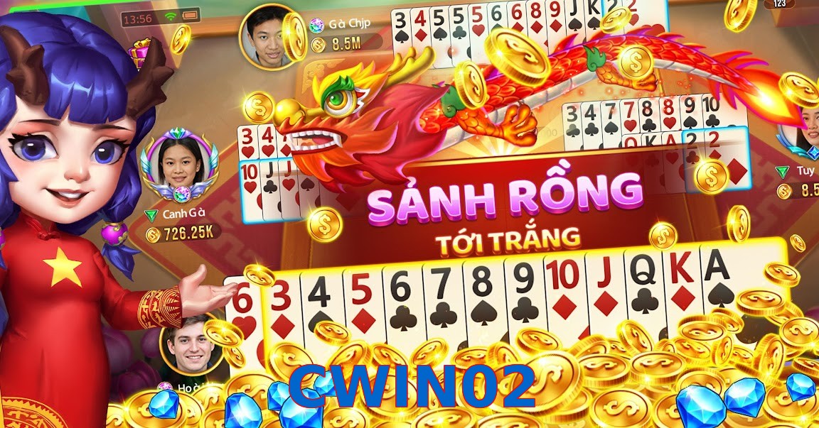 CWIN02