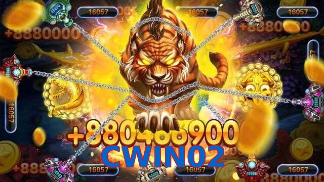CWIN02