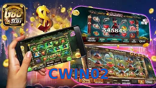 CWIN02