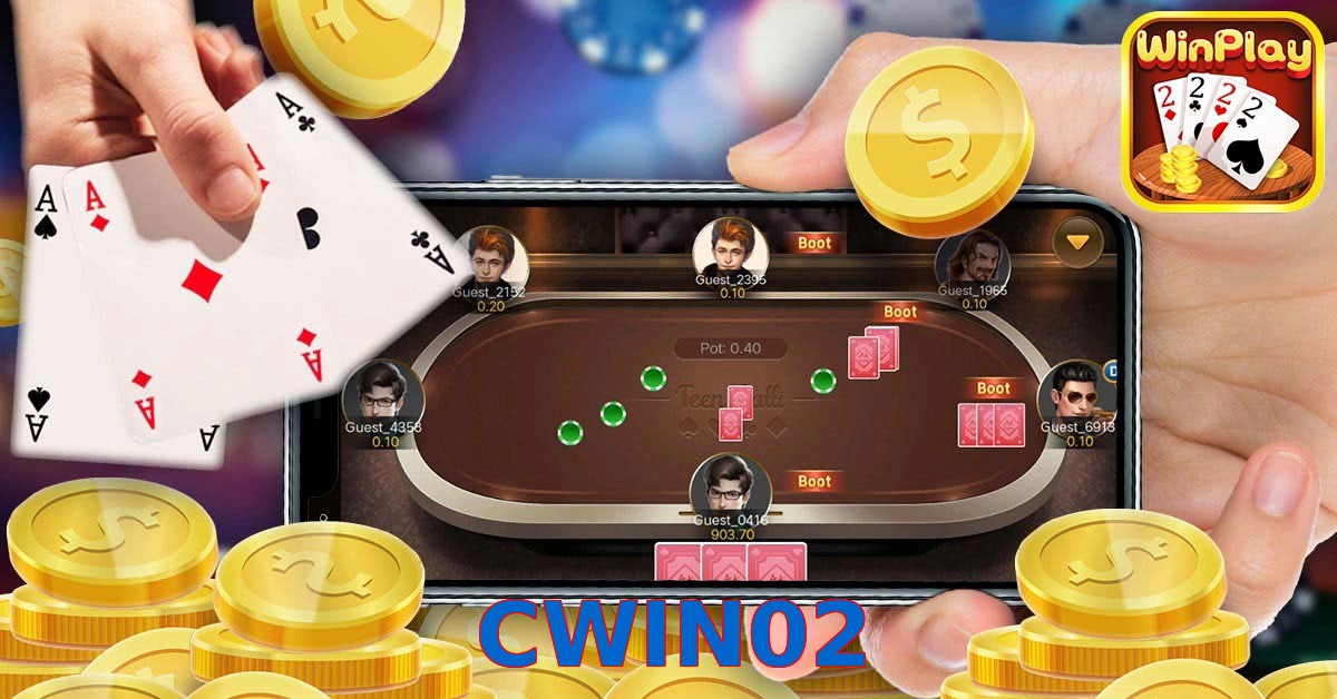 CWIN02