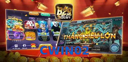 CWIN02