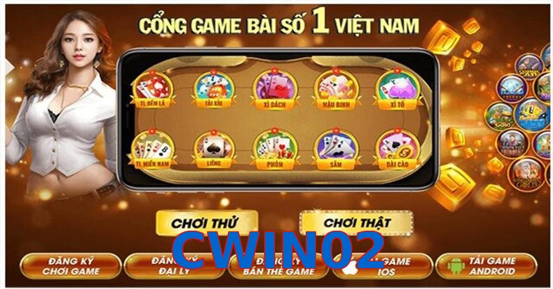 CWIN02