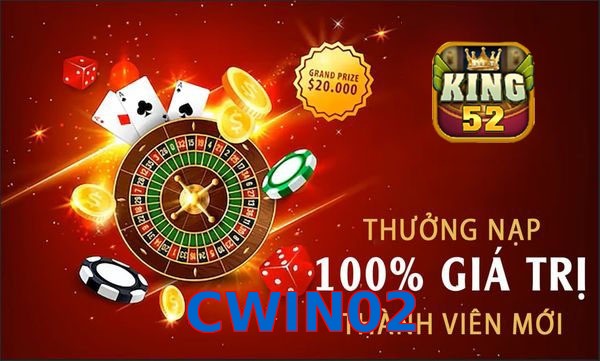 CWIN02