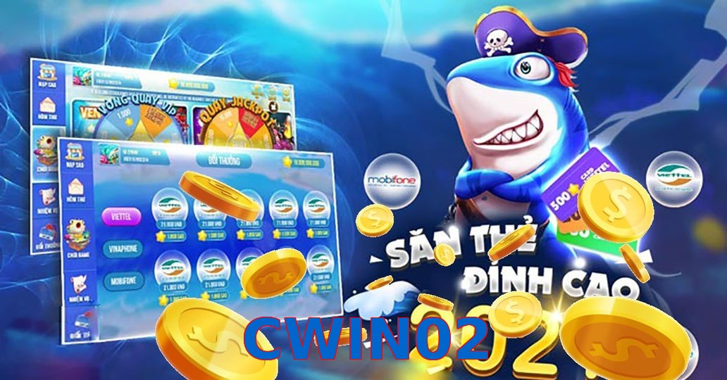 CWIN02