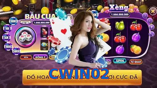 CWIN02