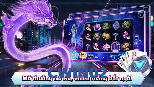 CWIN02
