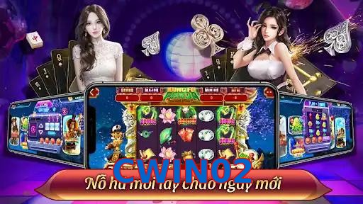 CWIN02