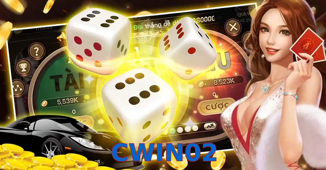 CWIN02