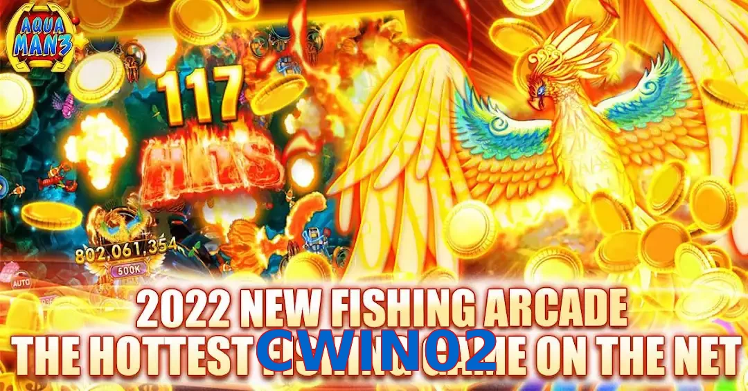 CWIN02