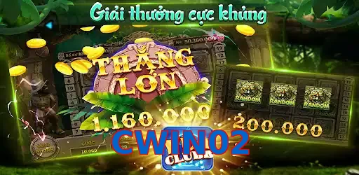 CWIN02