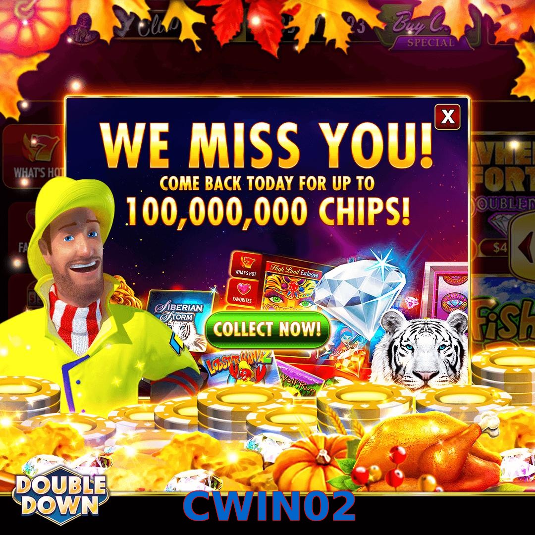 CWIN02