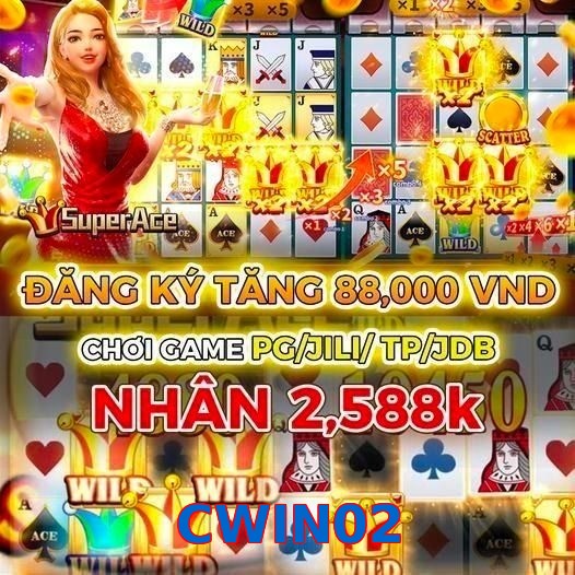 CWIN02