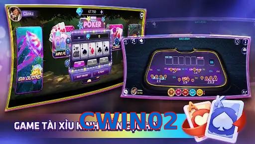 CWIN02