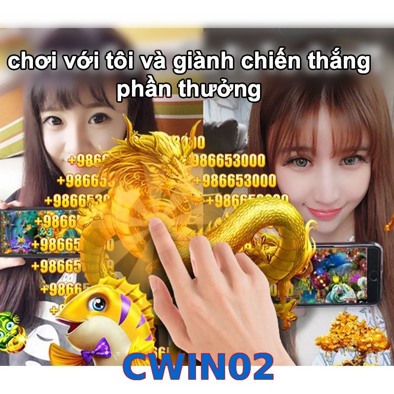 CWIN02