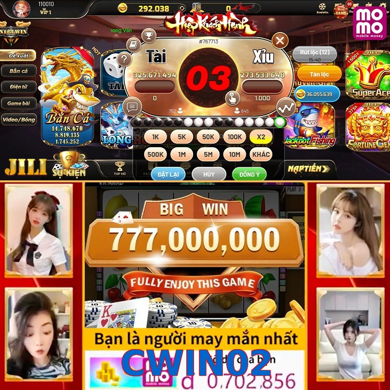 CWIN02
