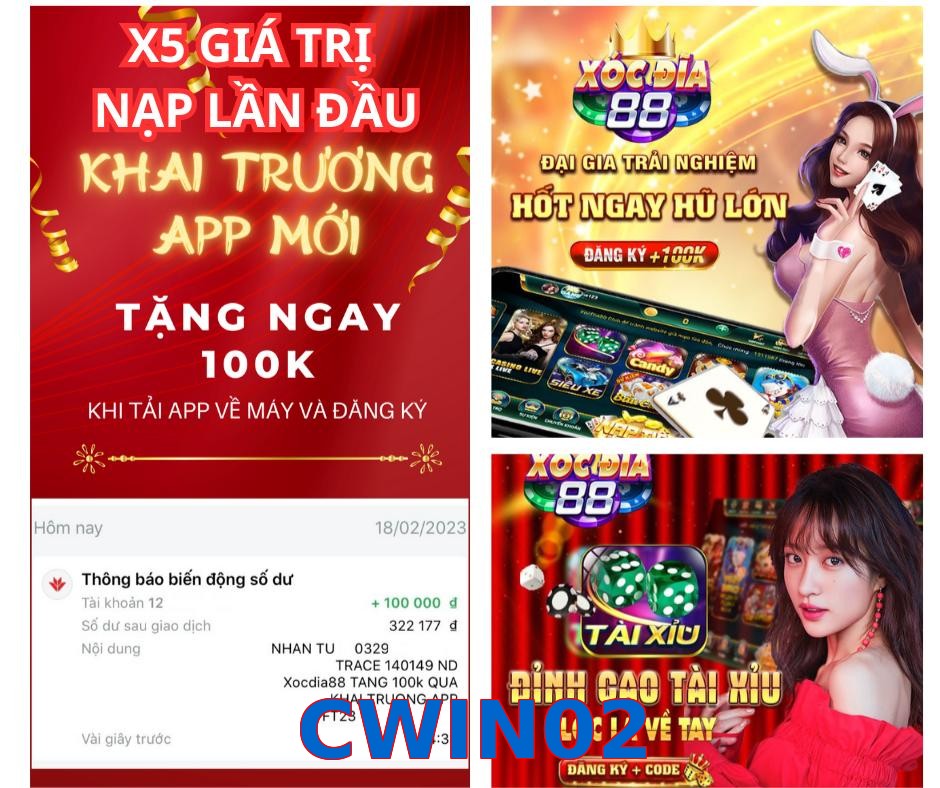 CWIN02