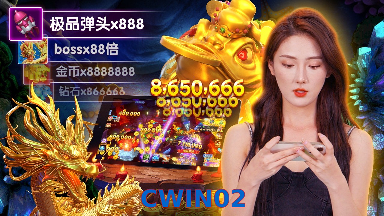 CWIN02
